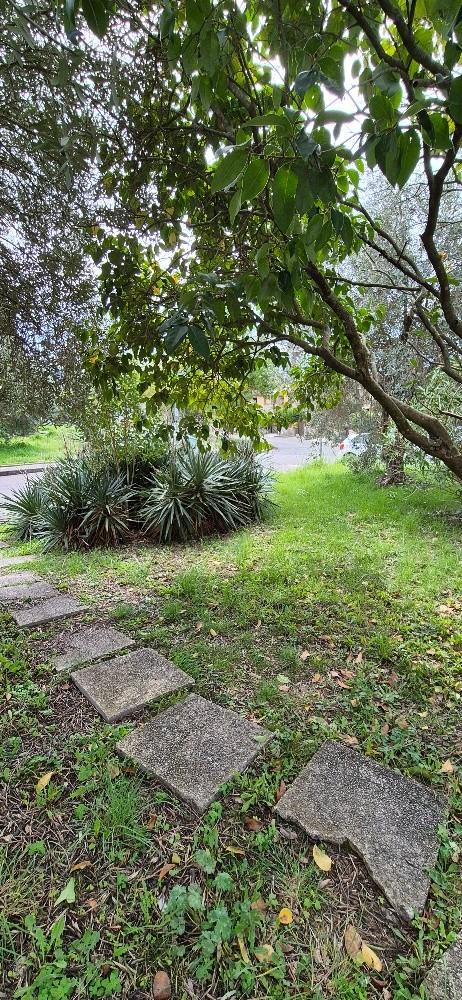 immagine annuncio 2 di 6