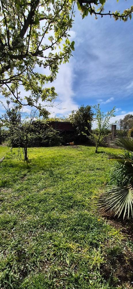 Casa indipendente con giardino, Cascina san prospero navacchio