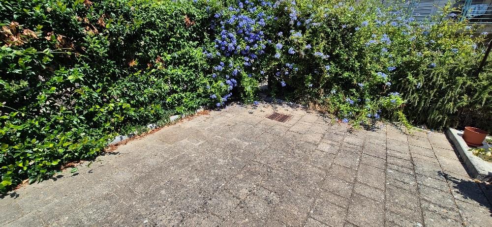 Quadrilocale con giardino, Pisa marina di