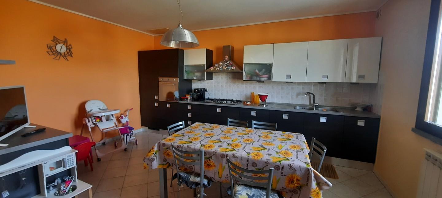 immagine annuncio 1 di 6