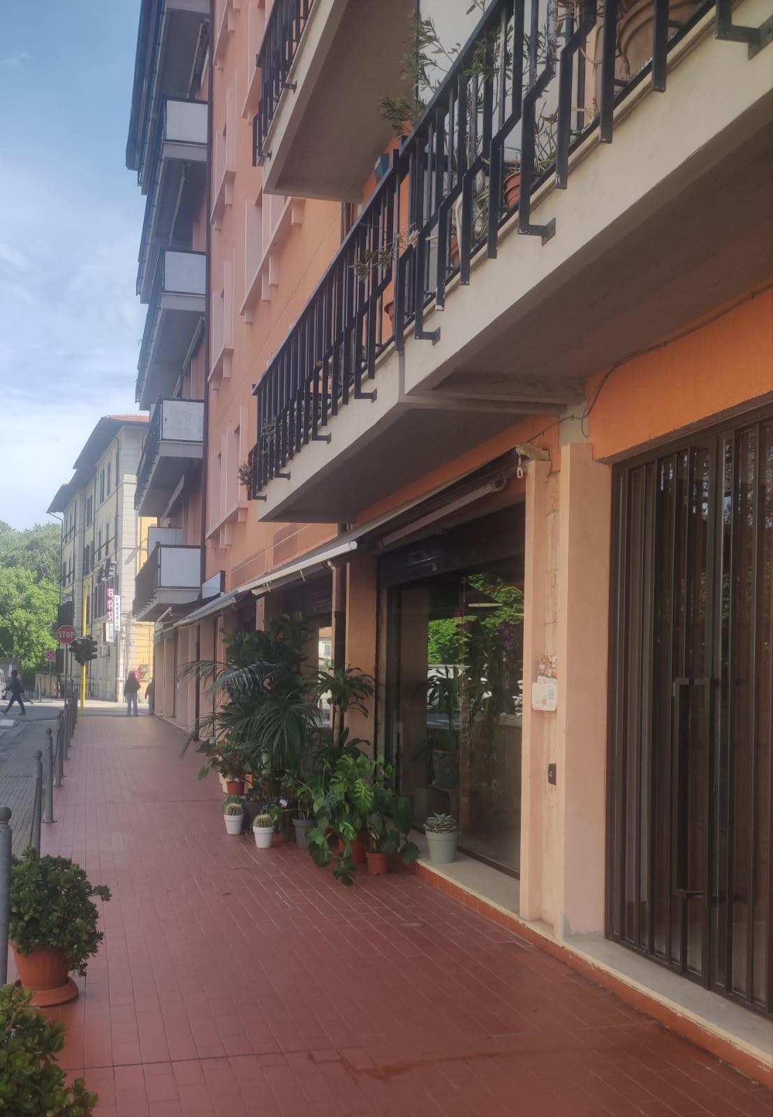 Stanza Singola in affitto, Pisa san michele