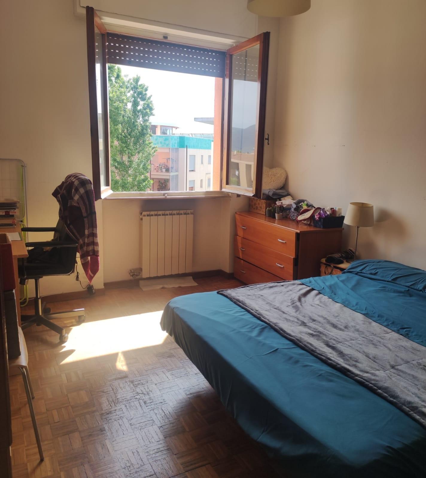 Stanza Singola in affitto, Pisa san michele