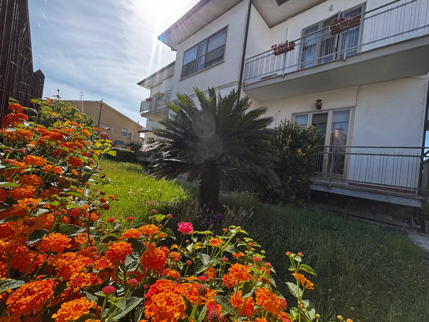 Villa con giardino, Pisa san piero a grado
