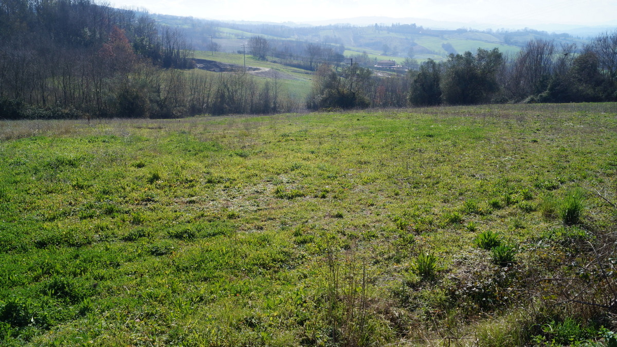 Terreno in vendita in via genovesi, Alvignano