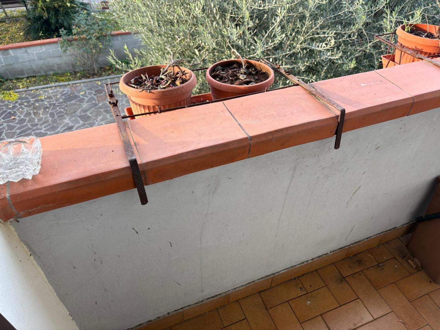 Villa con giardino, Cascina san frediano a settimo