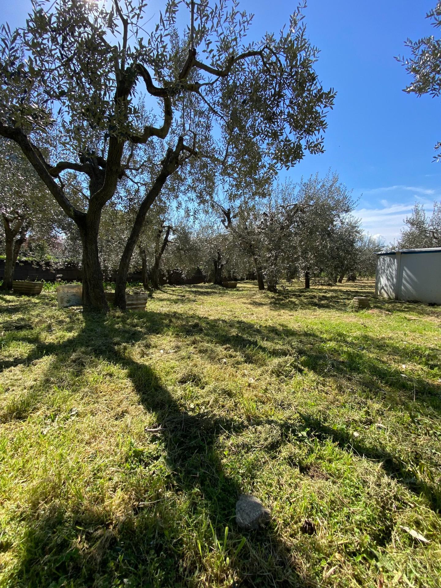 Casa indipendente con giardino a Montelupo Fiorentino