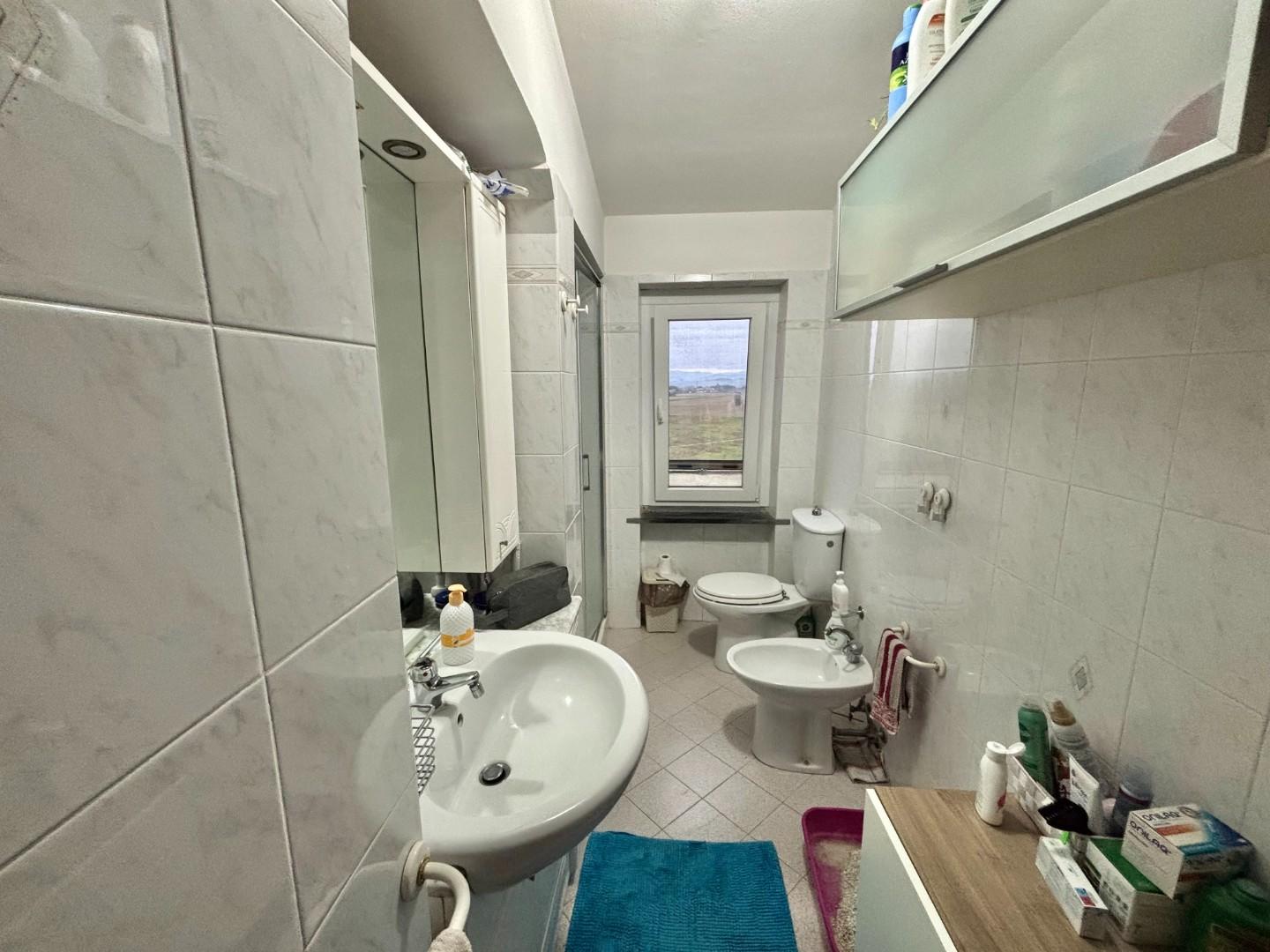 immagine annuncio 2 di 6