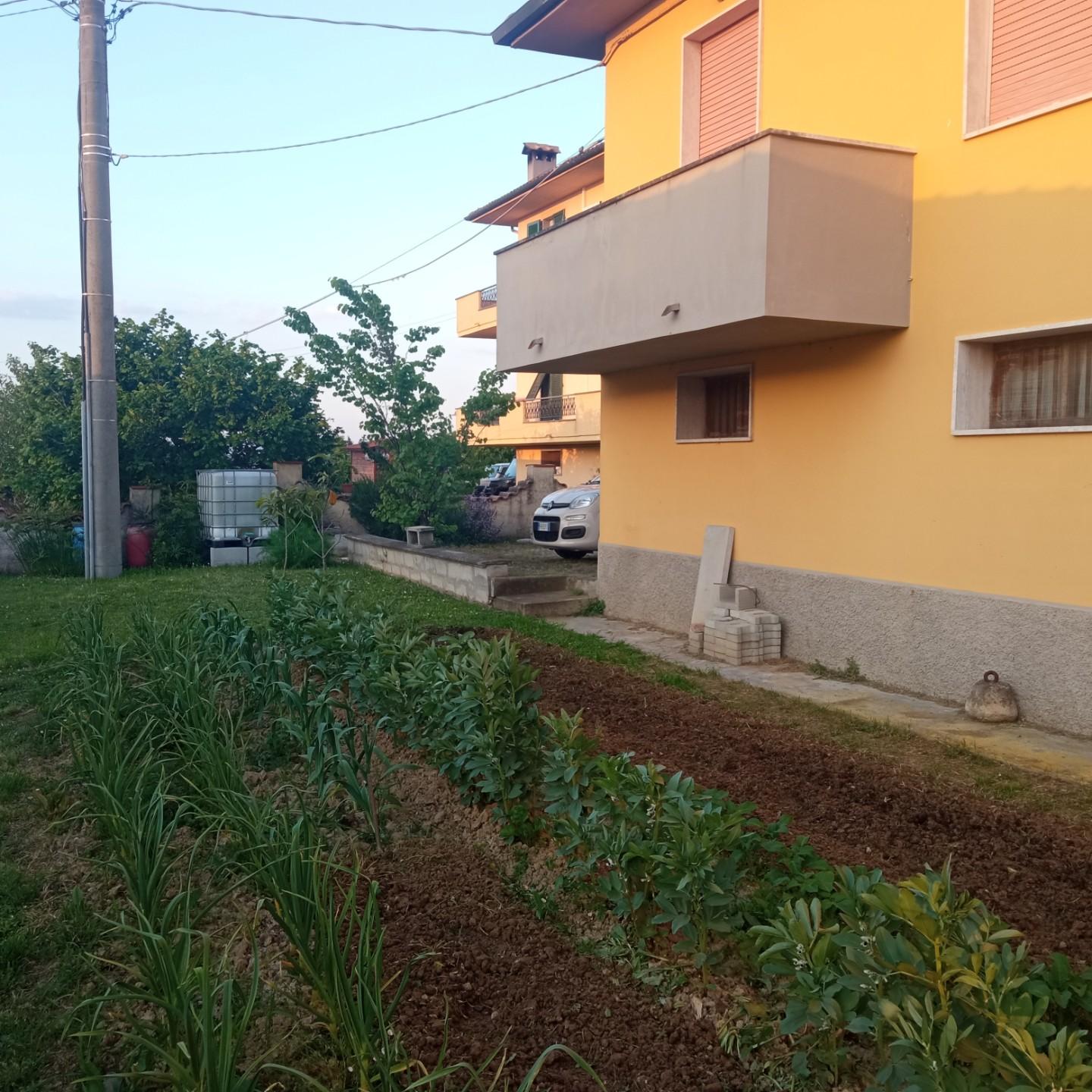 immagine annuncio 1 di 6