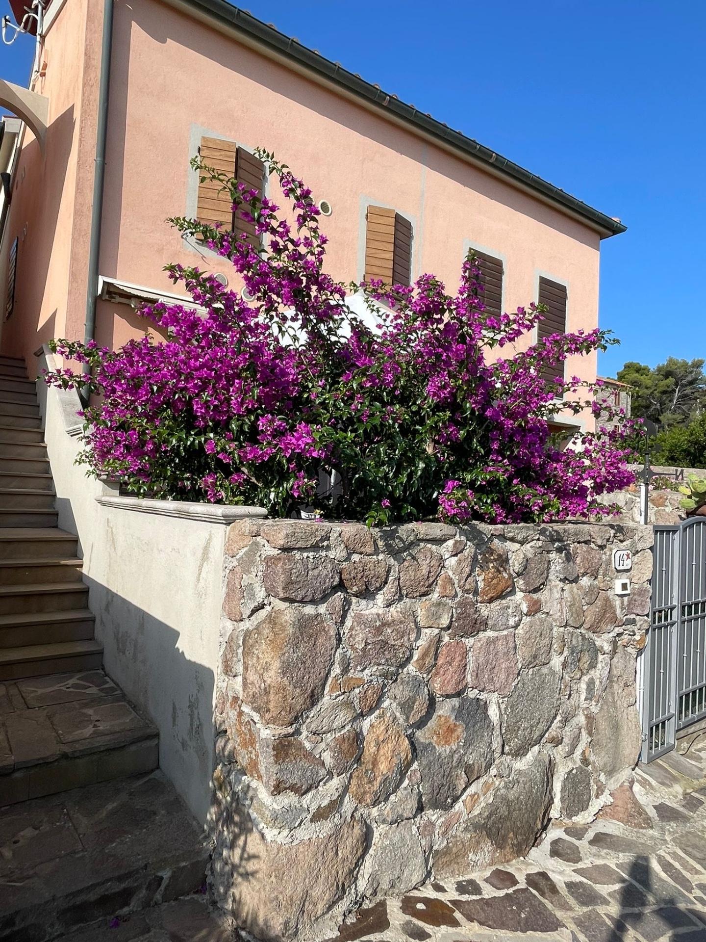Villa con giardino a Capraia Isola