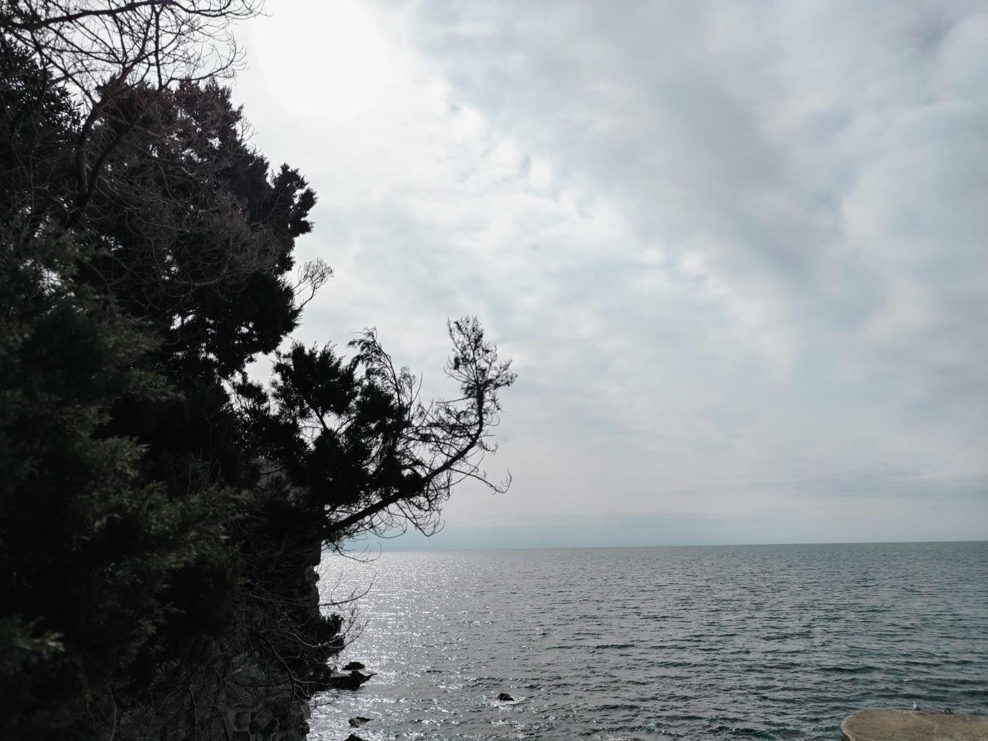 Attico con giardino, Rosignano Marittimo campolecciano