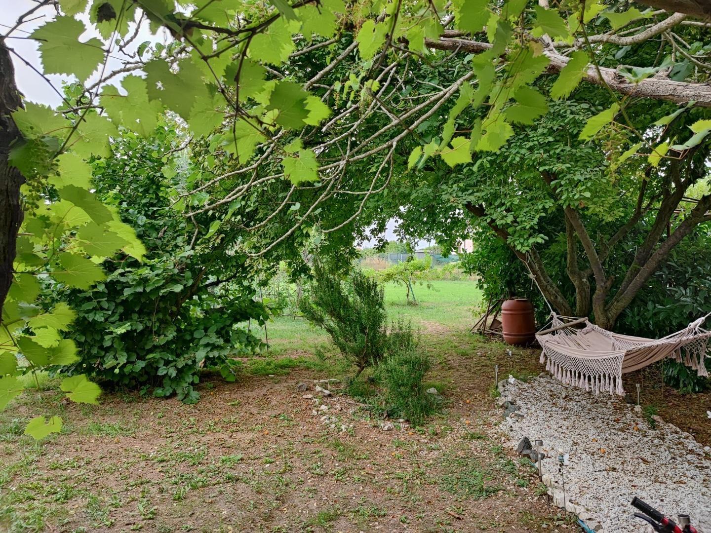 Terreno Agricolo in vendita, Livorno porta a terra