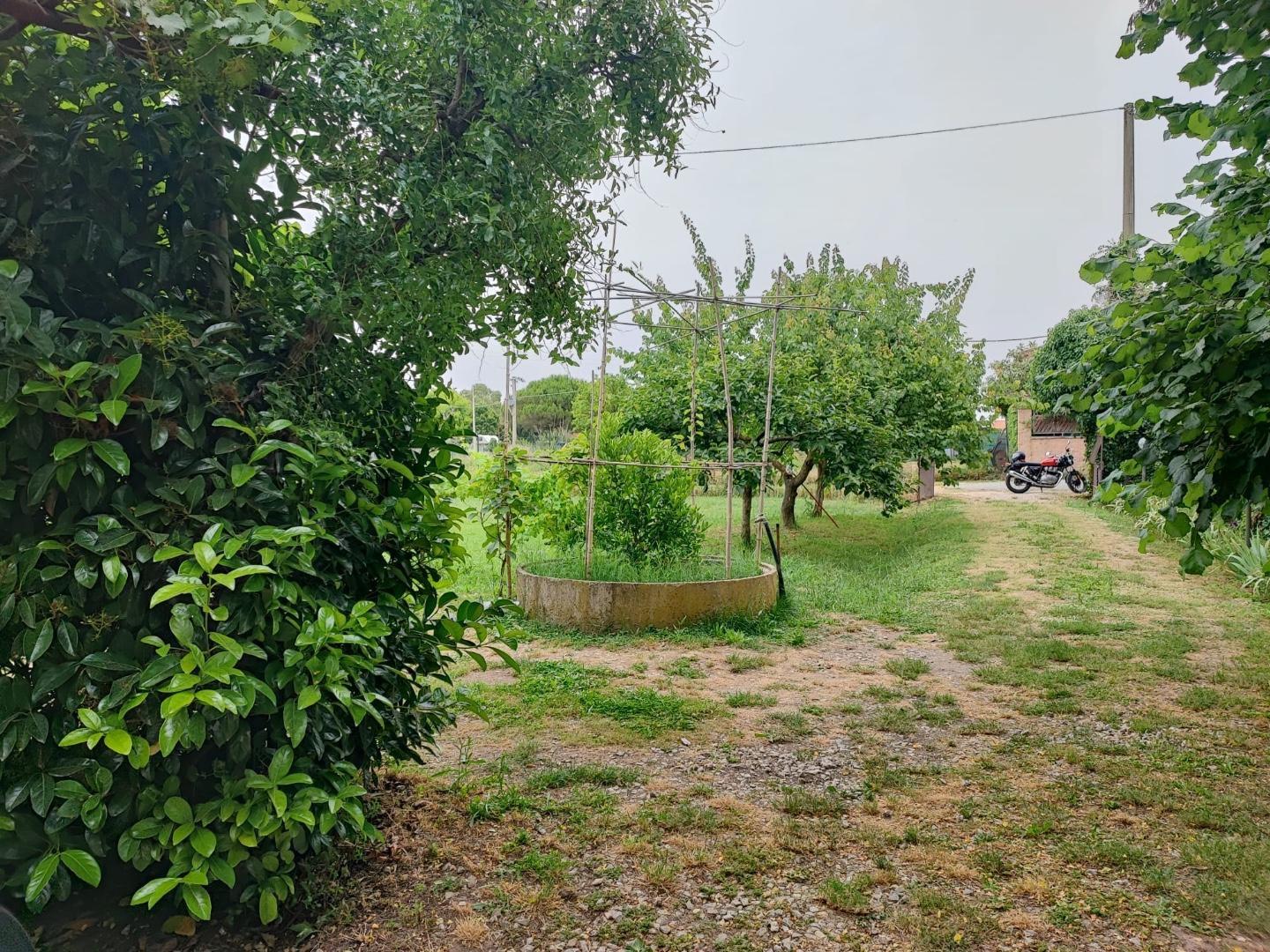 Terreno Agricolo in vendita, Livorno porta a terra
