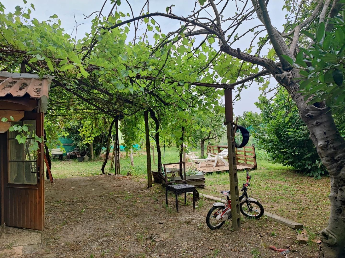 Terreno Agricolo in vendita, Livorno porta a terra