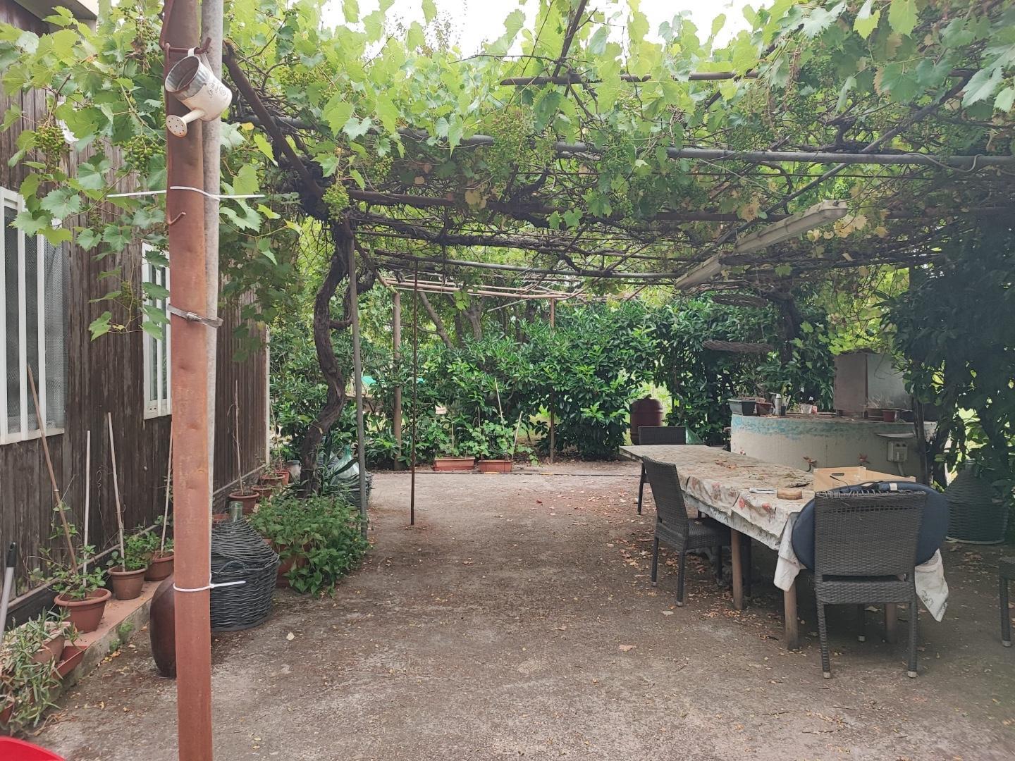 Terreno Agricolo in vendita, Livorno porta a terra