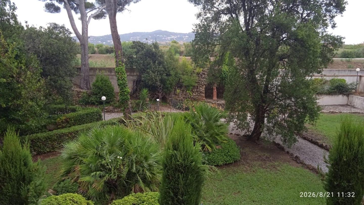 Trilocale in affitto, Livorno ardenza mare
