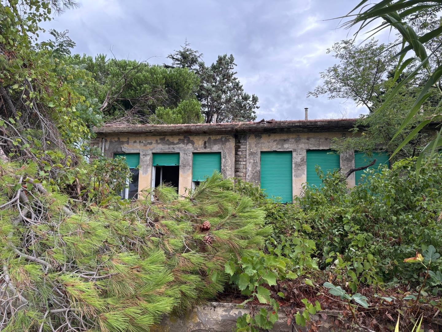 Casa indipendente con giardino a Bibbona