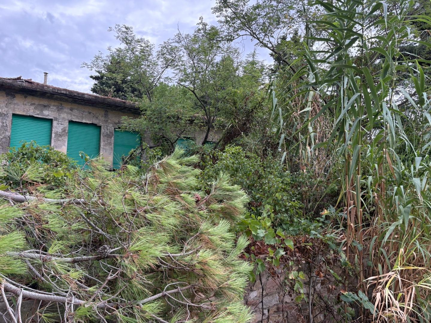 Casa indipendente con giardino a Bibbona