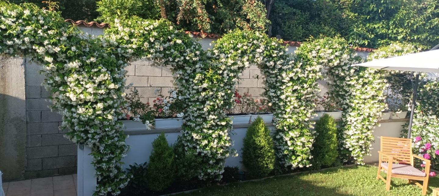 Villa con giardino, Livorno porta a terra