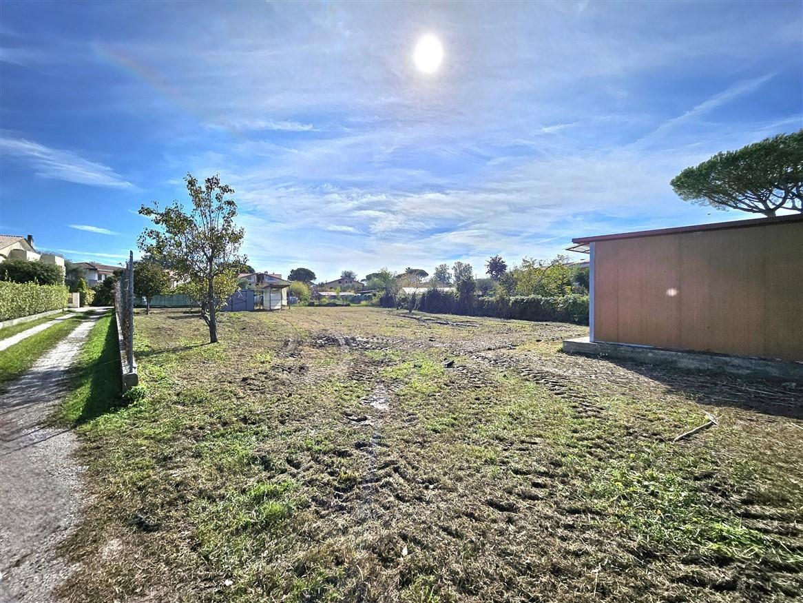 Terreno Agricolo in vendita, Massa marina di