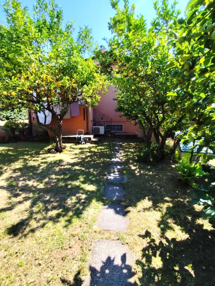 Casa indipendente con giardino a Massa