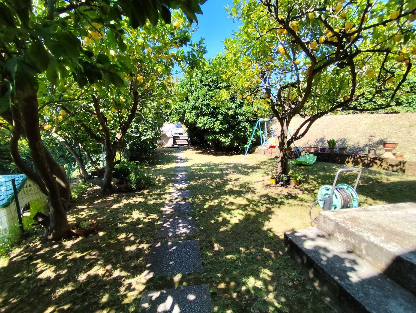 Casa indipendente con giardino a Massa