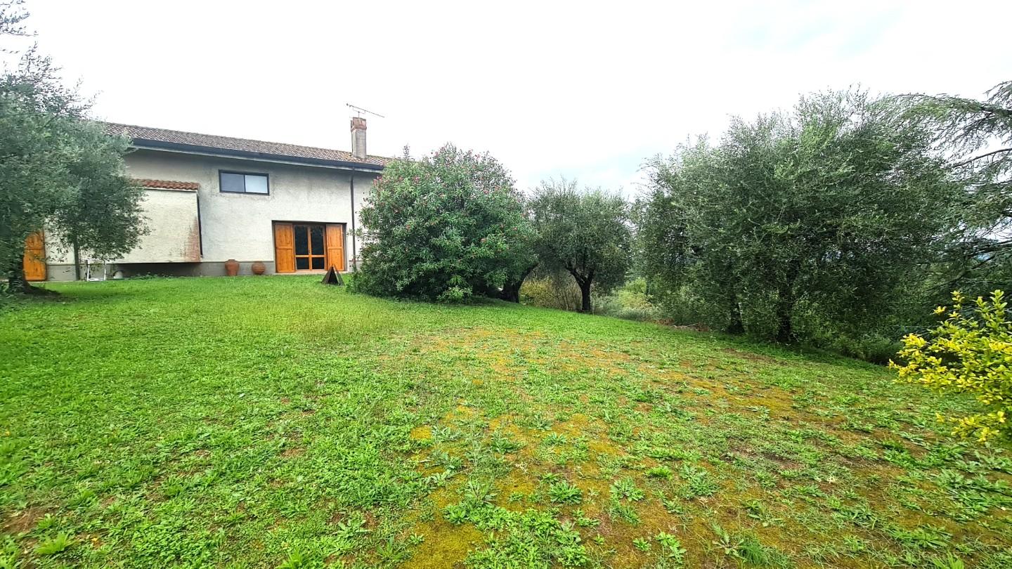 immagine annuncio 3 di 6