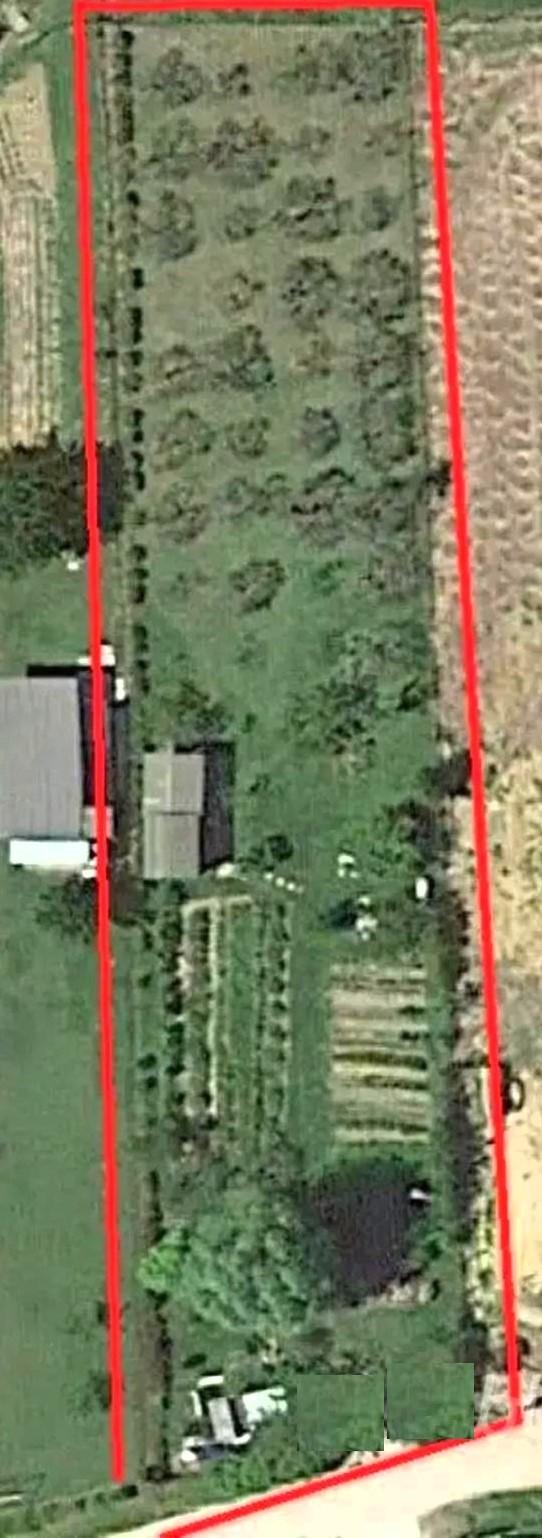 Terreno Agricolo in vendita a Montopoli in Val d'Arno