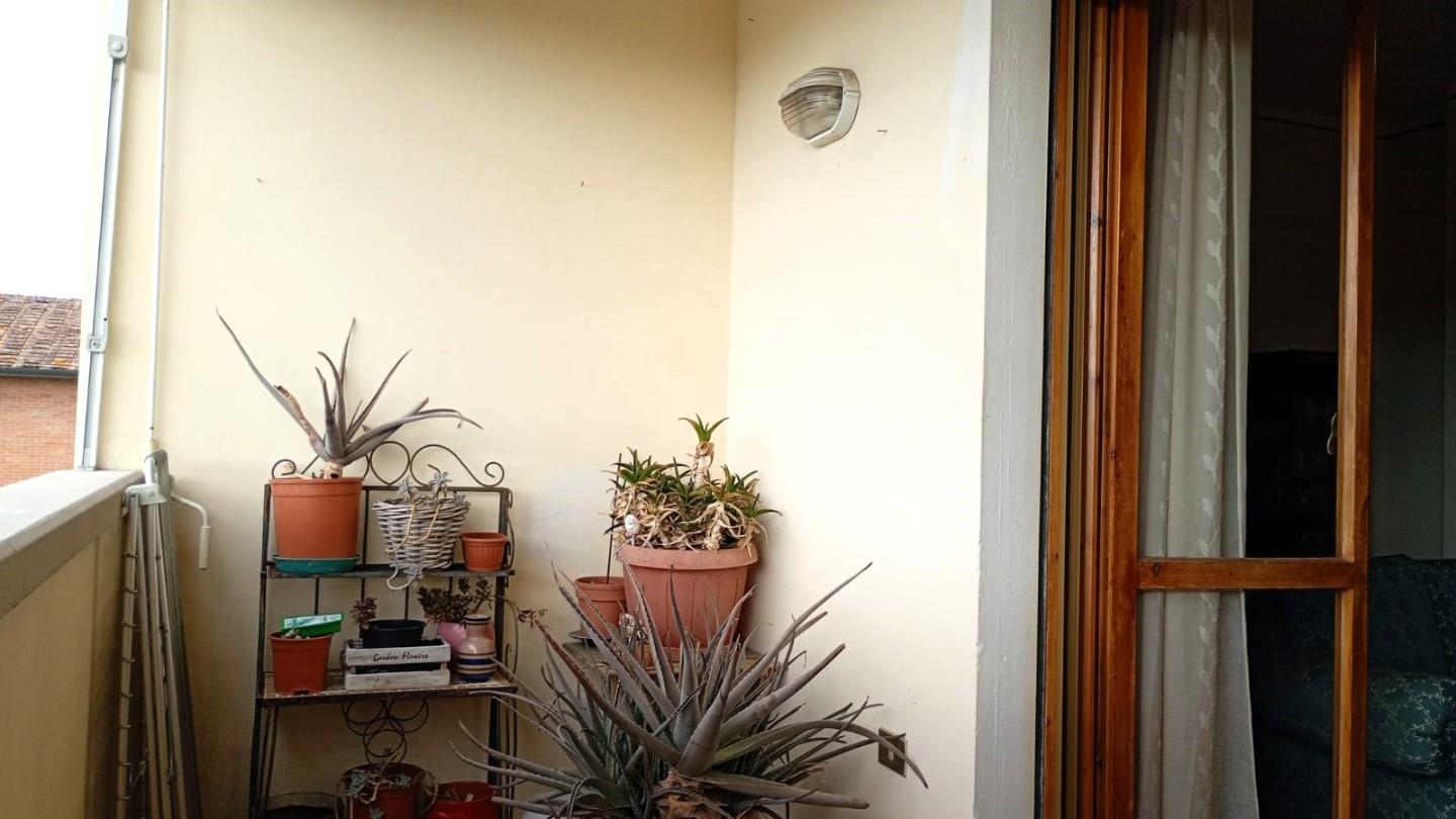 immagine annuncio 3 di 6