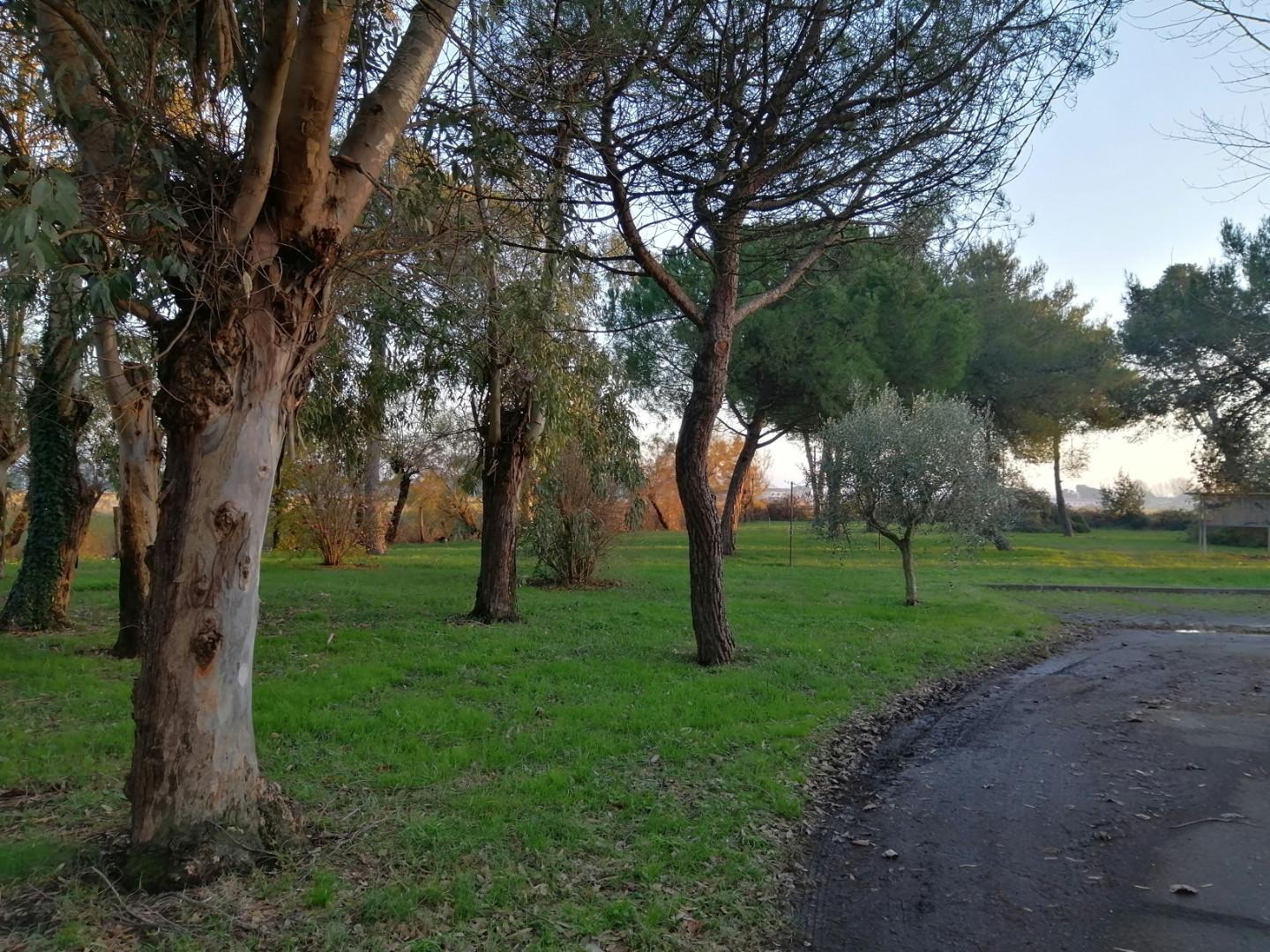 Appartamento con giardino, Pisa marina di