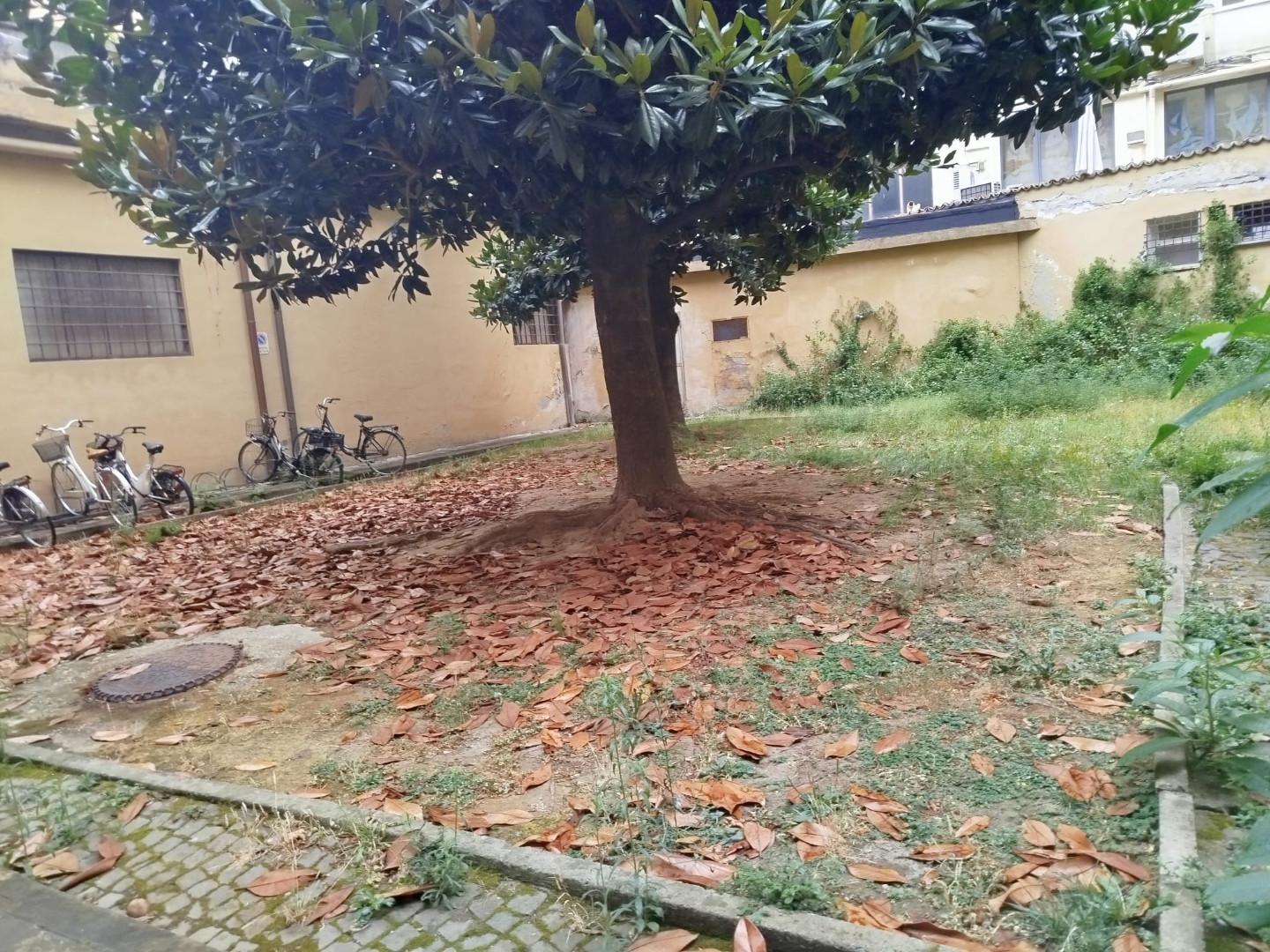 Quadrilocale con giardino a Pisa