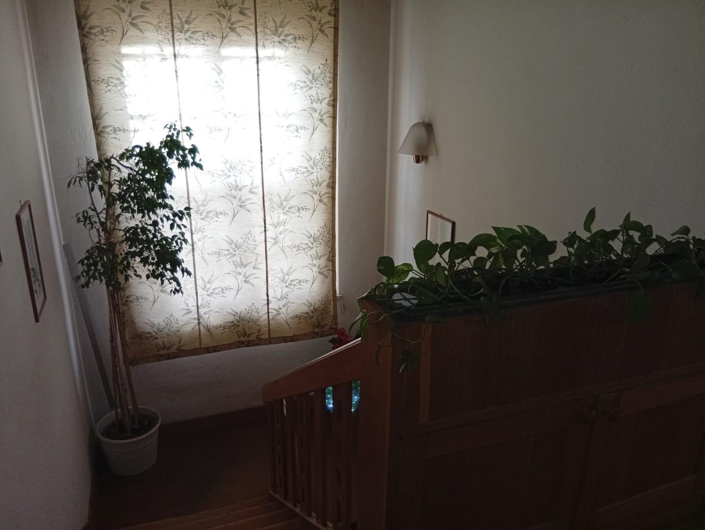 Casa indipendente con giardino a Cascina
