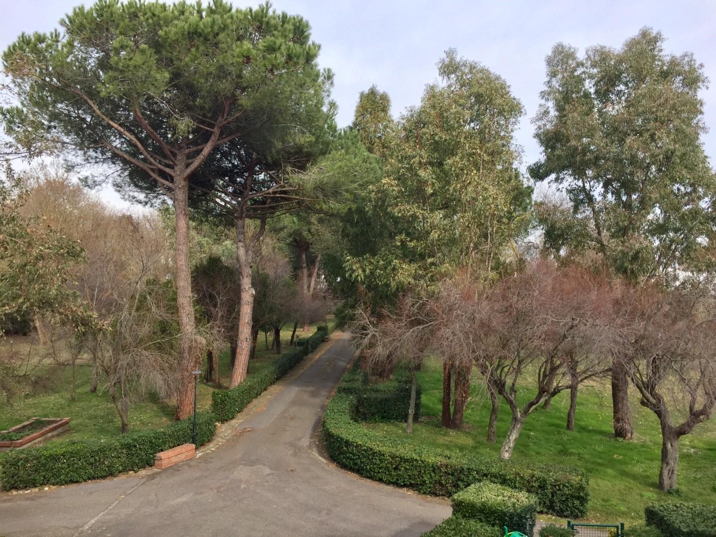 Appartamento con giardino, Pisa marina di