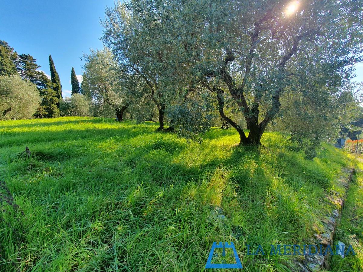 Terreno Edificabile in vendita a Lamporecchio