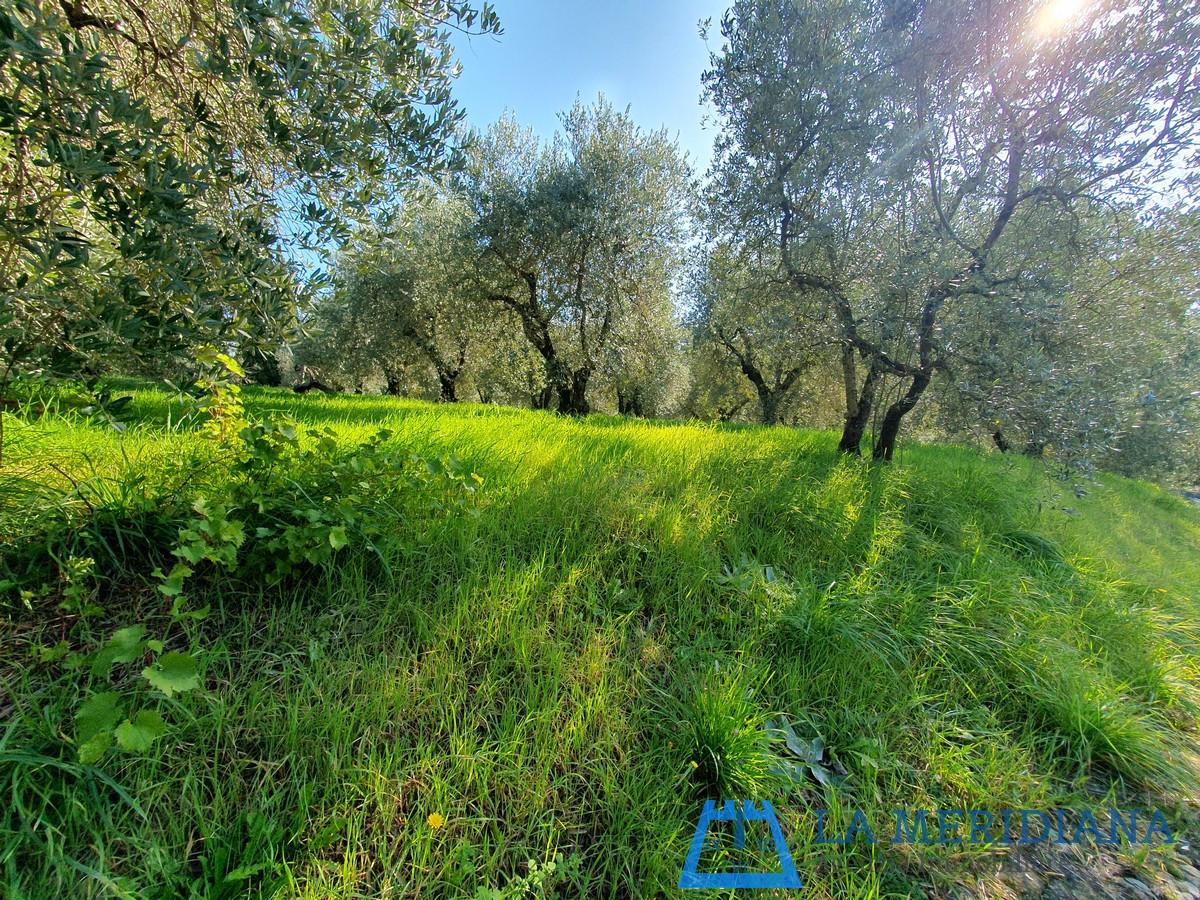 Terreno Edificabile in vendita a Lamporecchio