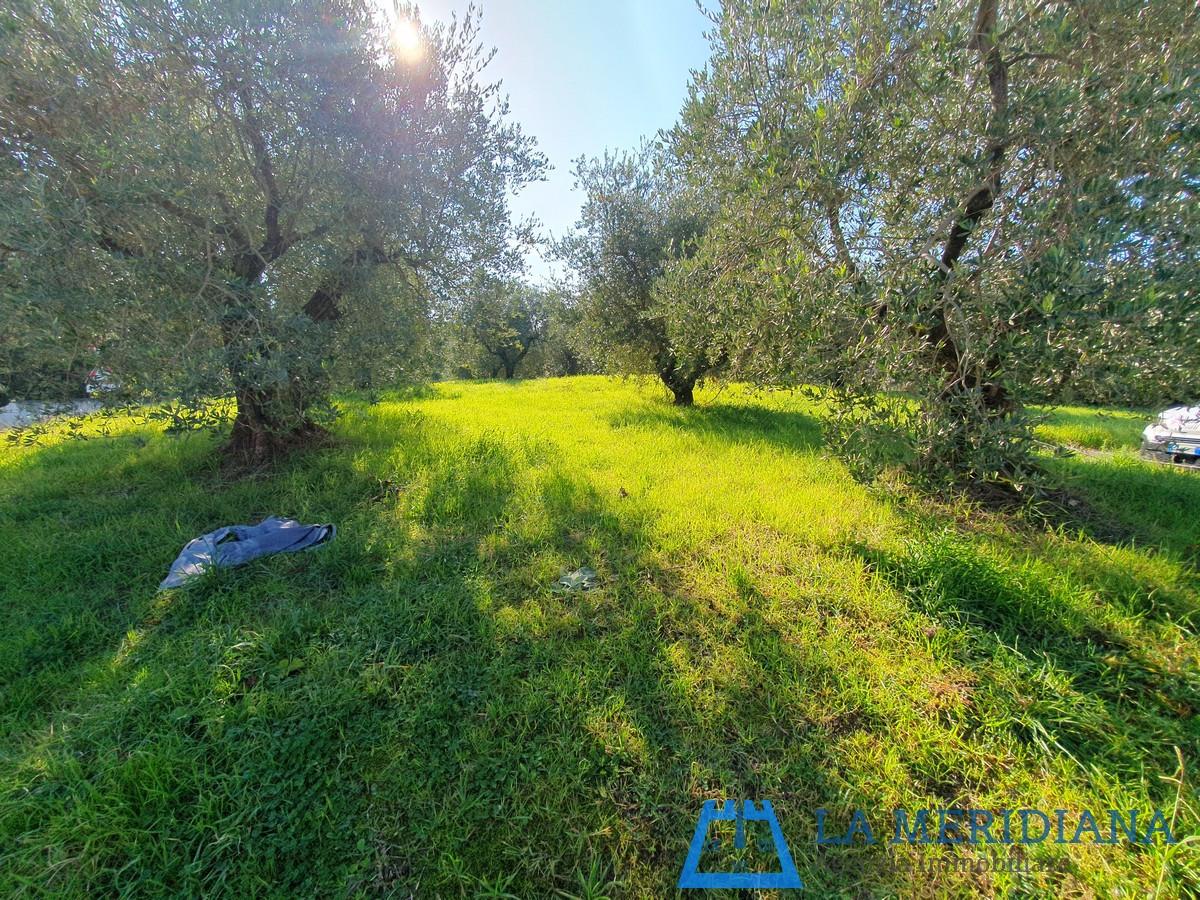 Terreno Edificabile in vendita a Lamporecchio