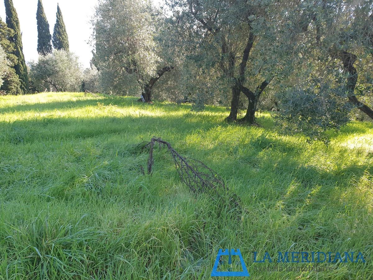Terreno Edificabile in vendita a Lamporecchio
