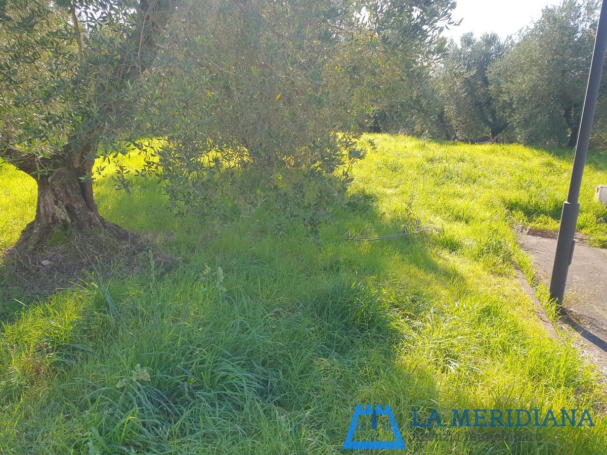 Terreno Edificabile in vendita a Lamporecchio