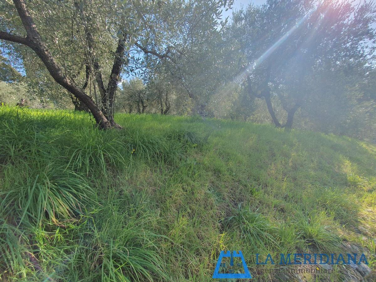 Terreno Edificabile in vendita a Lamporecchio