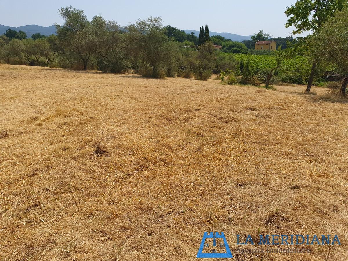 Terreno Agricolo in vendita a Lamporecchio