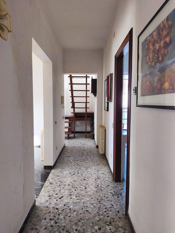 Casa indipendente con giardino, Carrara bonascola