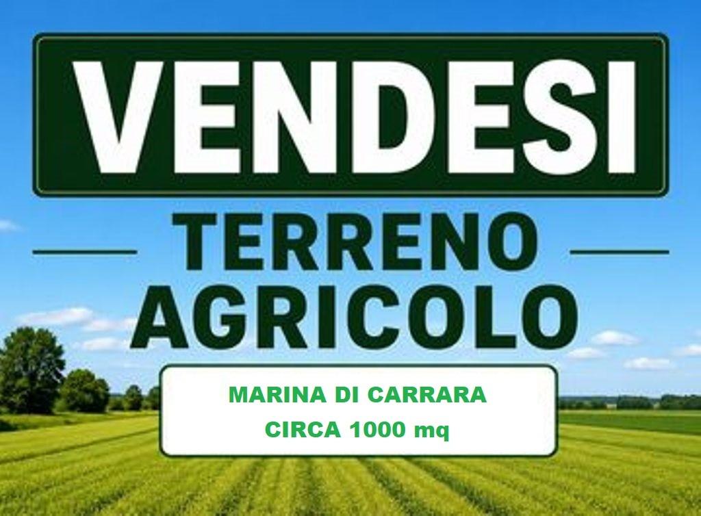 Terreno Agricolo in vendita, Carrara marina di