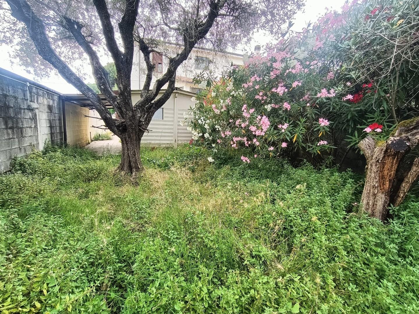 Casa indipendente con giardino, Carrara sant'antonio