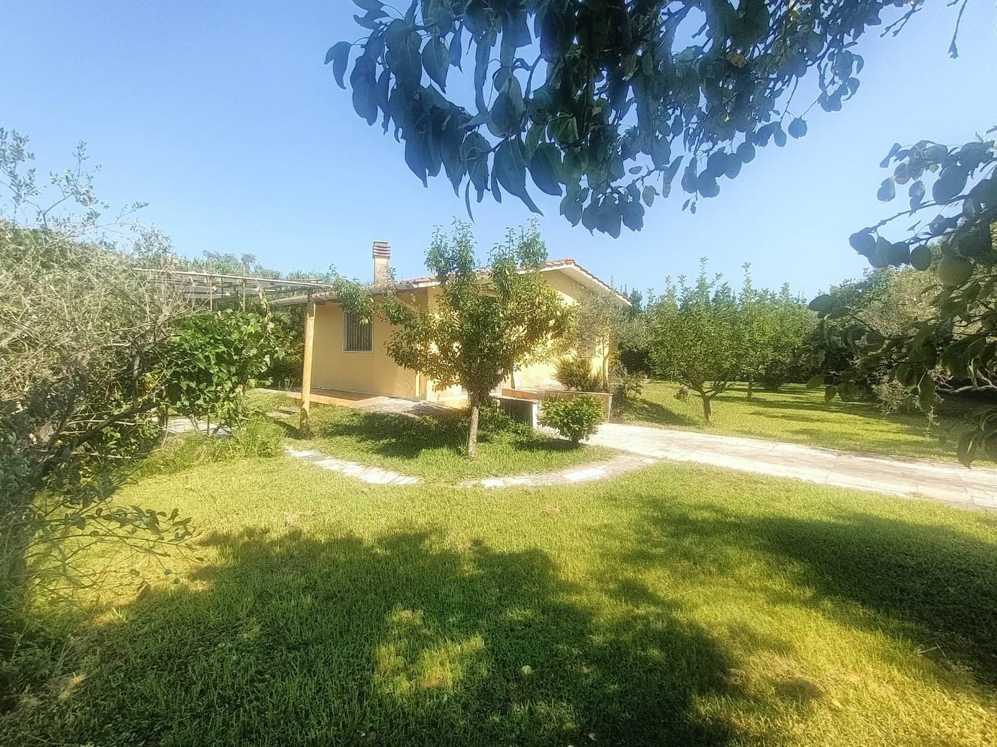Terreno Agricolo in vendita, Carrara battilana