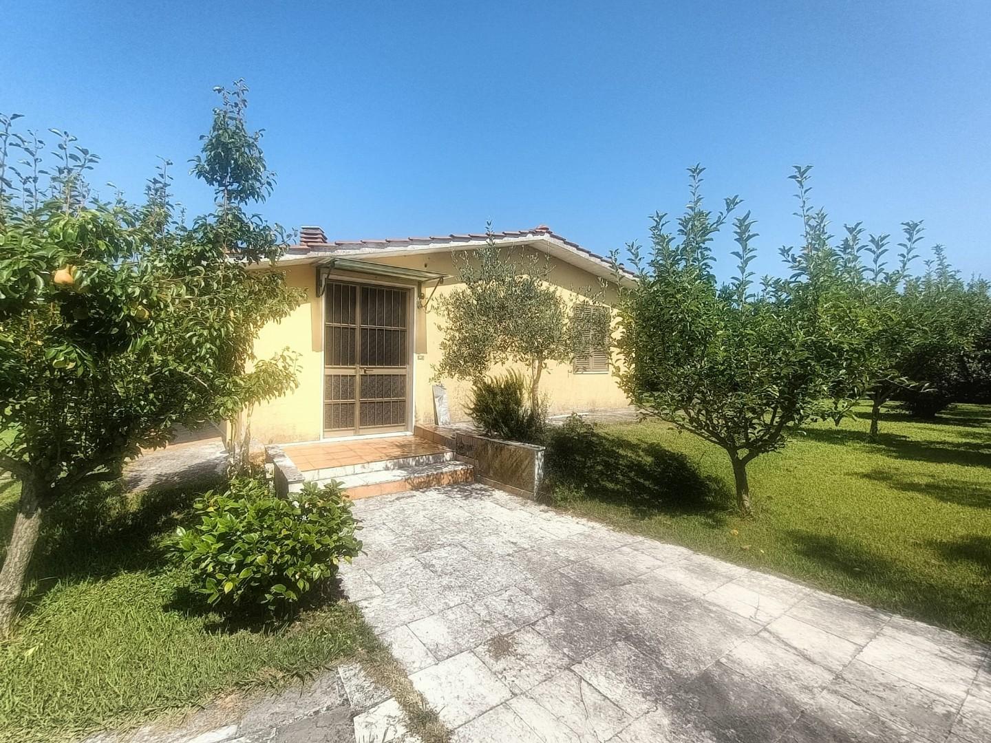 Terreno Agricolo in vendita, Carrara battilana