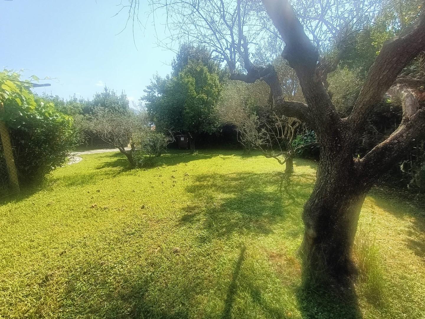 Terreno Agricolo in vendita, Carrara battilana