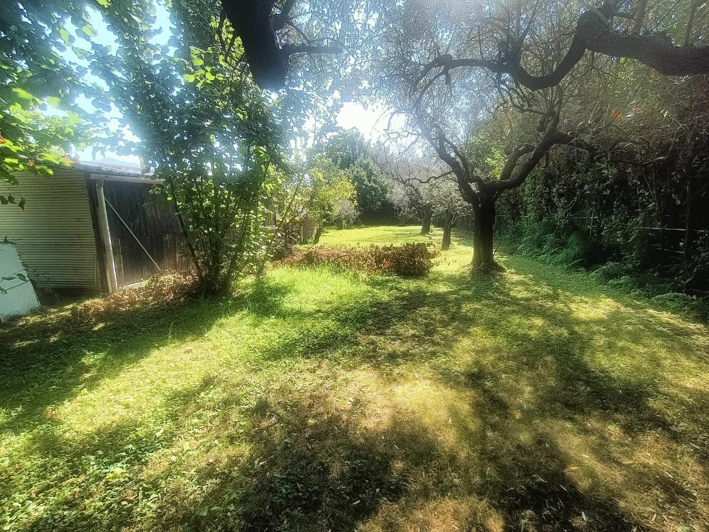 Terreno Agricolo in vendita, Carrara battilana
