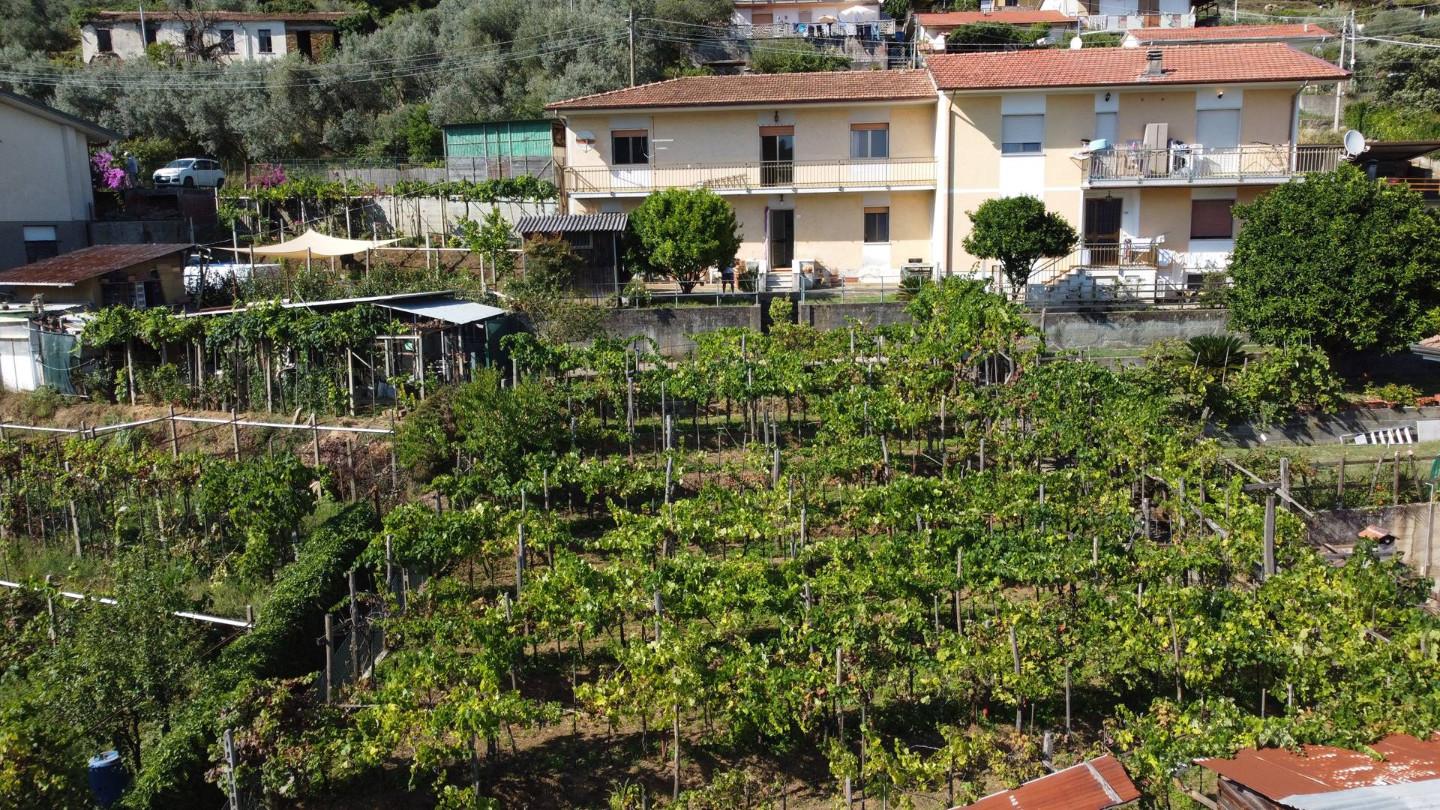 Villa Bifamiliare con giardino, Montignoso serra
