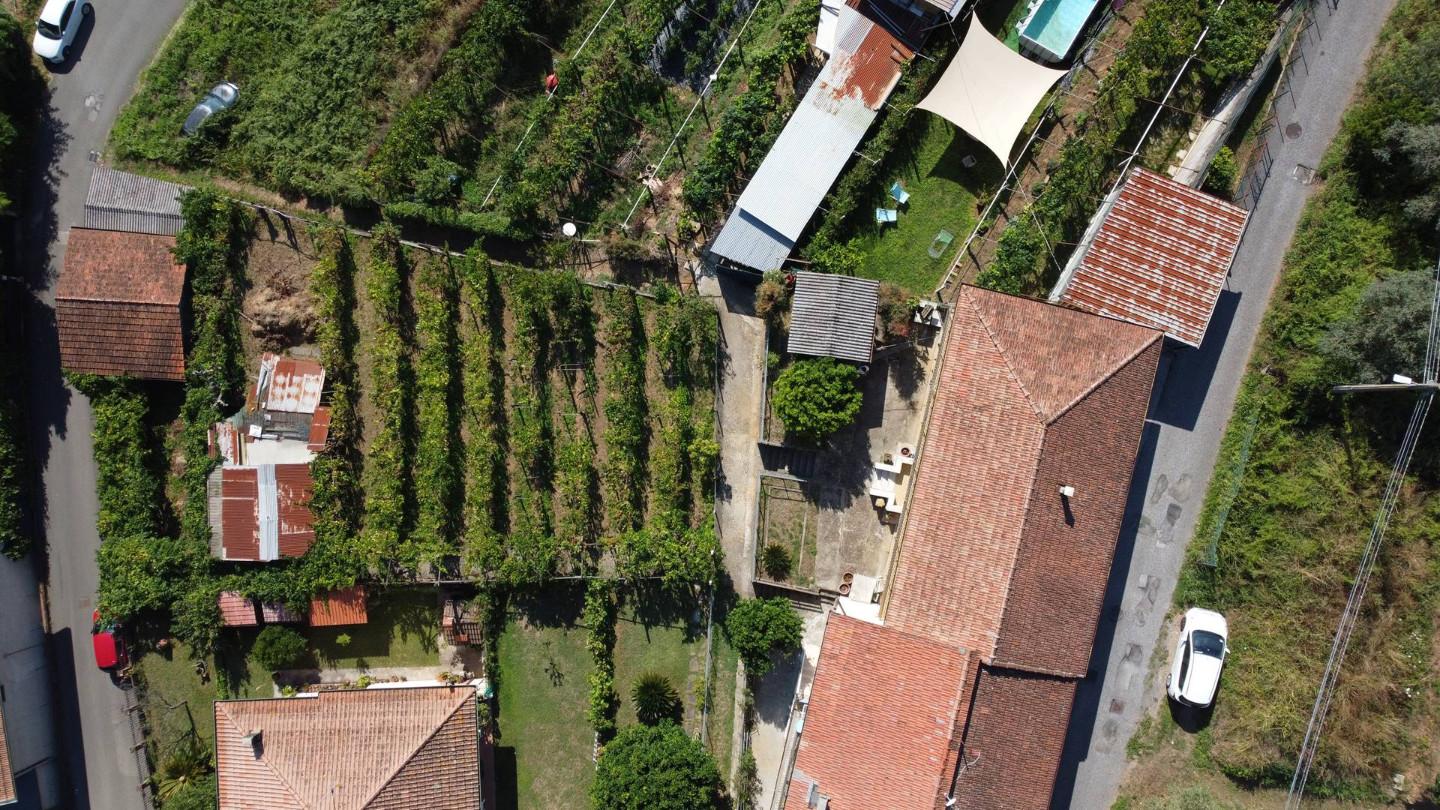 Villa Bifamiliare con giardino, Montignoso serra