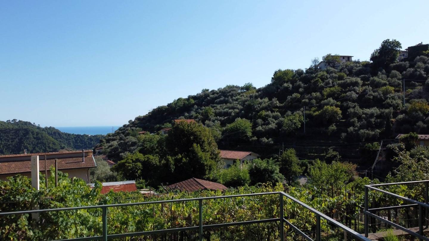 Villa Bifamiliare con giardino, Montignoso serra