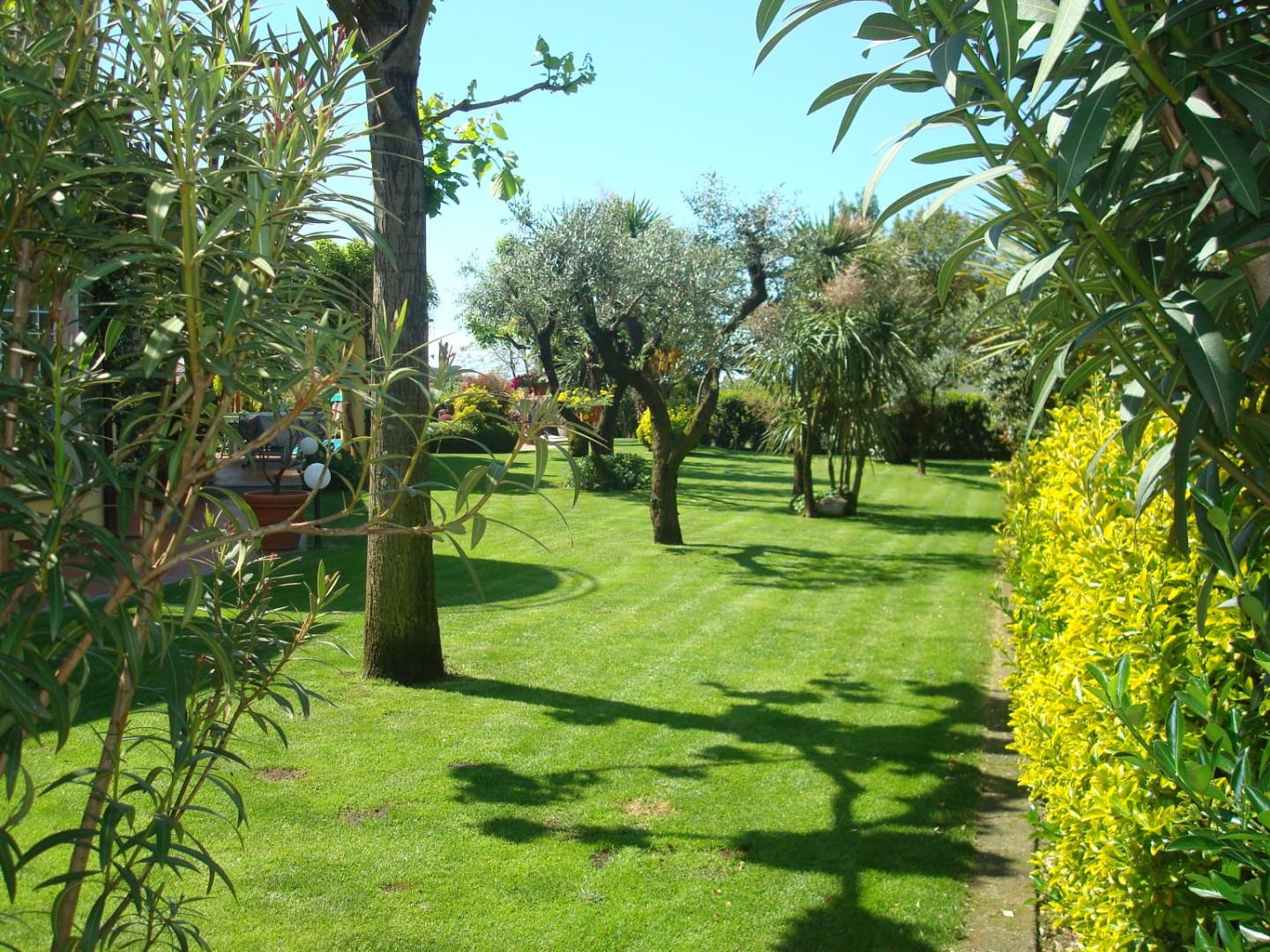 Villa con giardino a Montignoso